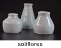 soliflores_b-2023-06-07.jpg 