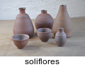 soliflores_d-2023-06-07.jpg 